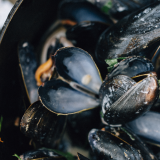 Mussels, New Brunswick