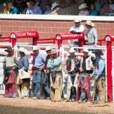 Calgary Stampede 