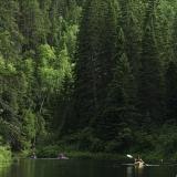 Kanufahrer erkunden einen Wald zu Wasser