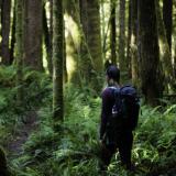 Eine Wanderin streift durch die Regenwälder British Columbias