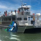 Das neue Ausflugsschiff Matonabee von Lazy Bear Expeditions in den Gewässern der Hudson Bay vor der Küste Churchills. Belugawale schwimmen um das Boot herum.