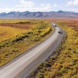 Herbstfarben in der Tundra