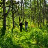 Spaziergänger im Wald